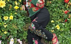 家有三个媳妇陈淑蓉结局是什么